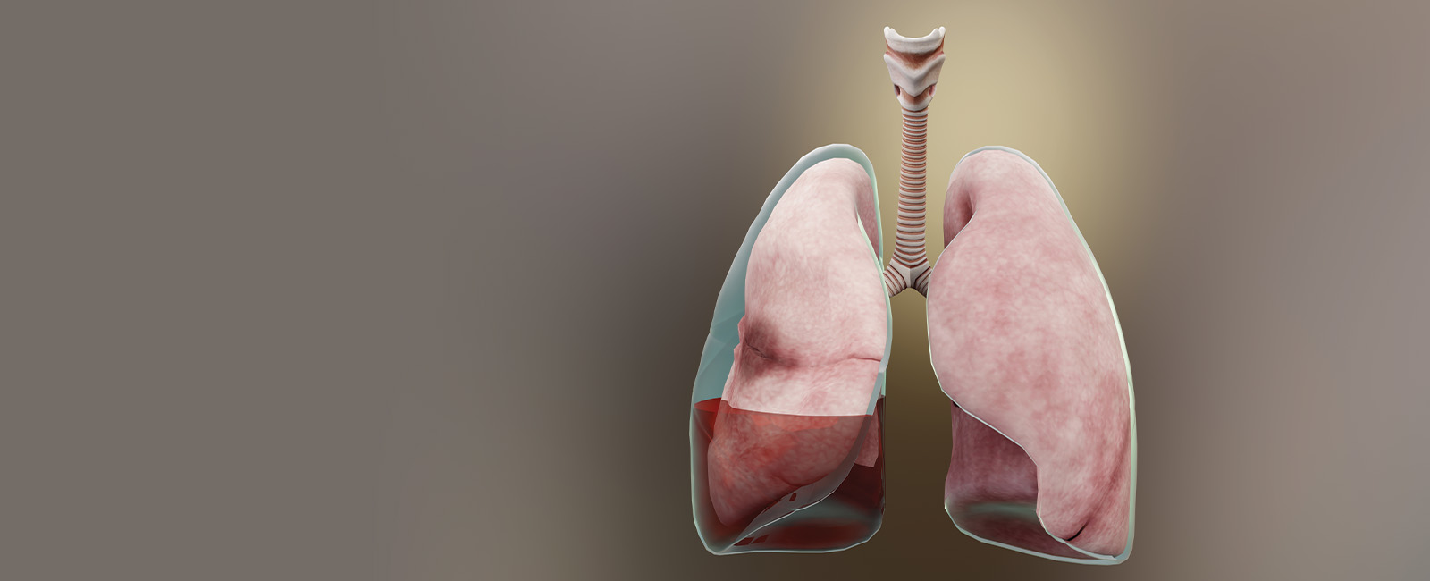 Respiratory Medicine Section | The Royal Society of Medicine