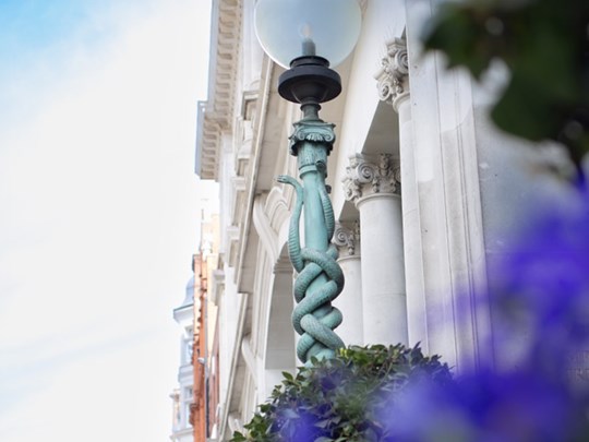 Building with purple flowers